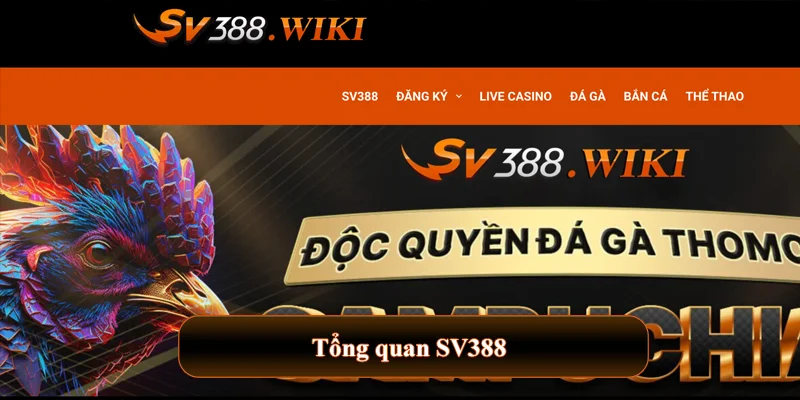 SV388 Kiwi 🎖️ SV 388 | Link Trực Tiếp Đá Gà SV388 prodeum Casino 2025 22 Tổng quan SV388