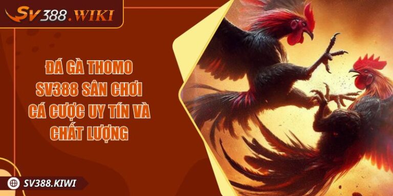 Đá gà Thomo SV388 Sân chơi cá cược uy tín và chất lượng 1 Đá gà Thomo SV388 Sân chơi cá cược uy tín và chất lượng