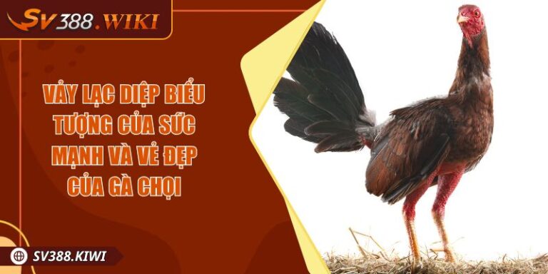 Vảy Lạc Diệp Biểu Tượng Của Sức Mạnh Và Vẻ Đẹp Của Gà Chọi 1 Vảy Lạc Diệp Biểu Tượng Của Sức Mạnh Và Vẻ Đẹp Của Gà Chọi